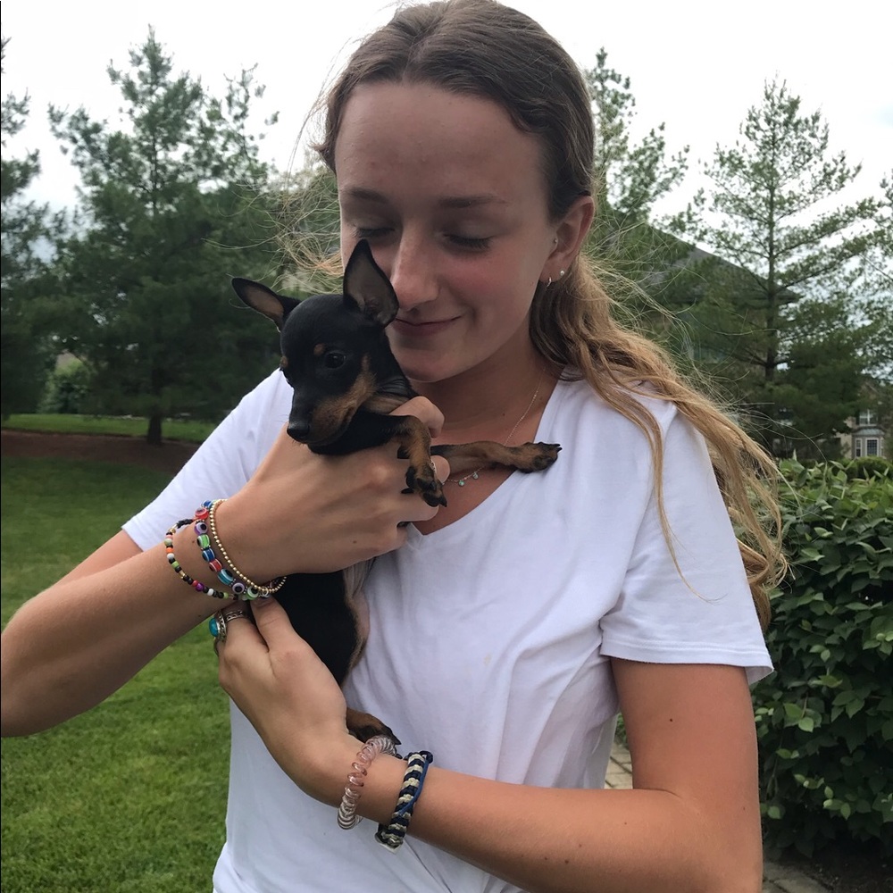 Meet your Posher, Hannah